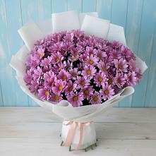 Букет цветов из:  Хризантемы в Радумле